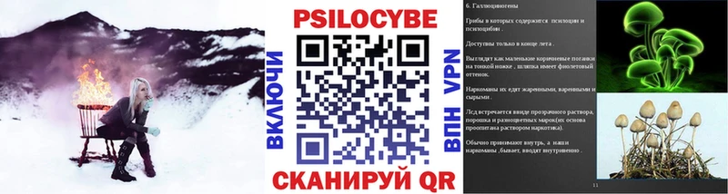 Купить закладки  Бронницы  Псилоцибиновые грибы GOLDEN TEACHER 